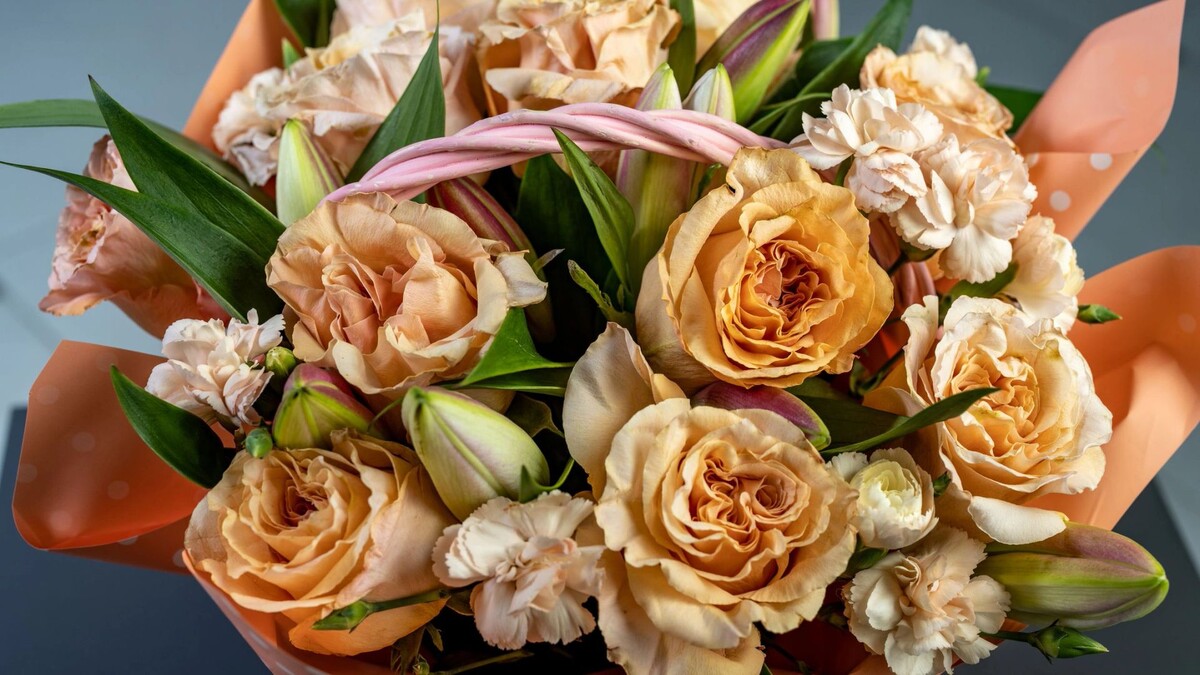    Фото: Сергей Зубков / «Ямал-Медиа»