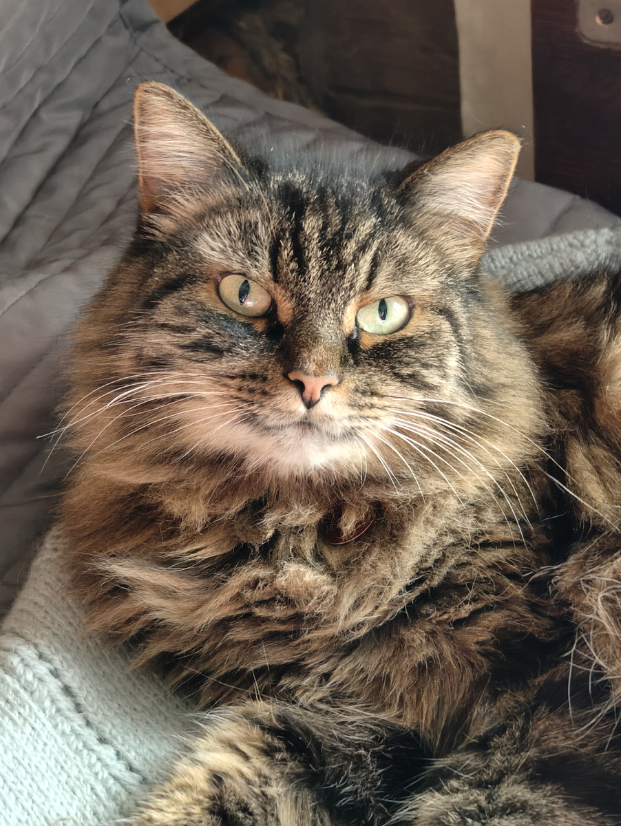 Портрет. Большая удача, когда успеваешь запечатлеть его благостное настроение.