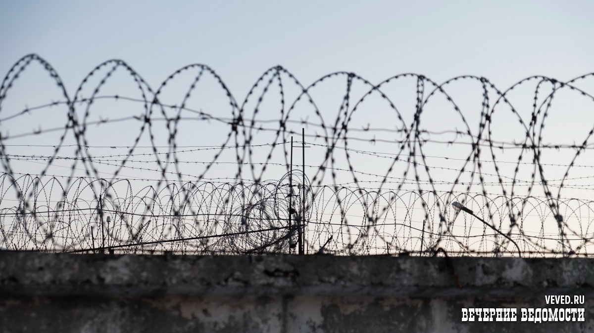     Фото: Владислав Постников / Вечерние Ведомости