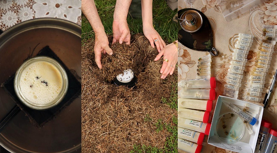   David Zilber / iScience / CC BY-SA