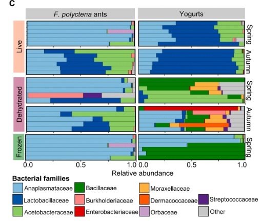   Sinotte et al. / iScience, 2025