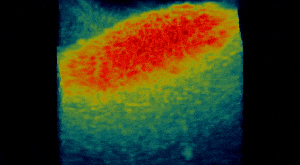   Alexandre Aubry et al. / Nature, 2025