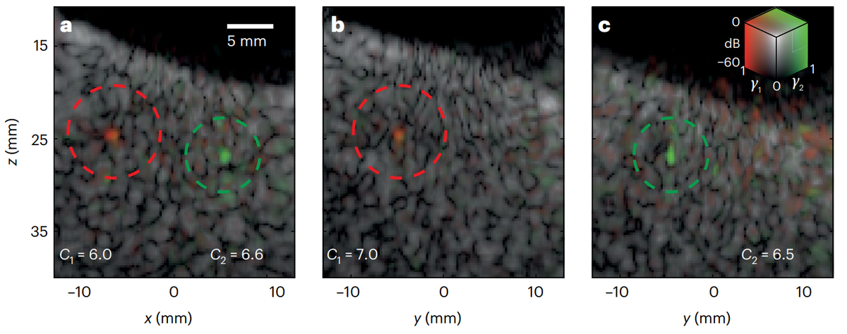   Alexandre Aubry et al. / Nature, 2025