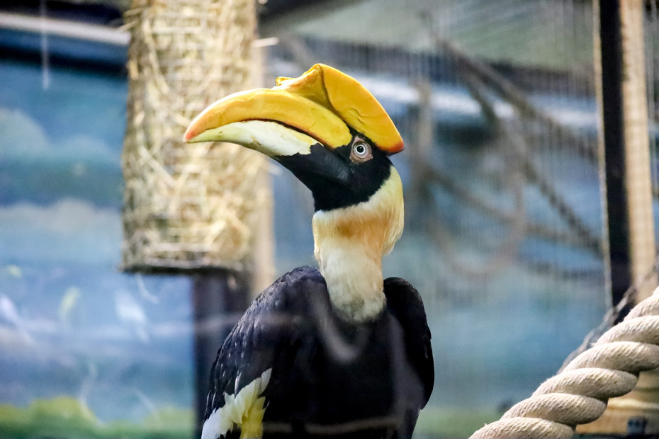    Elena Mayorova/Global Look Press