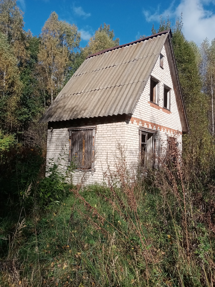 Заброшенный дом. В гуще леса. 