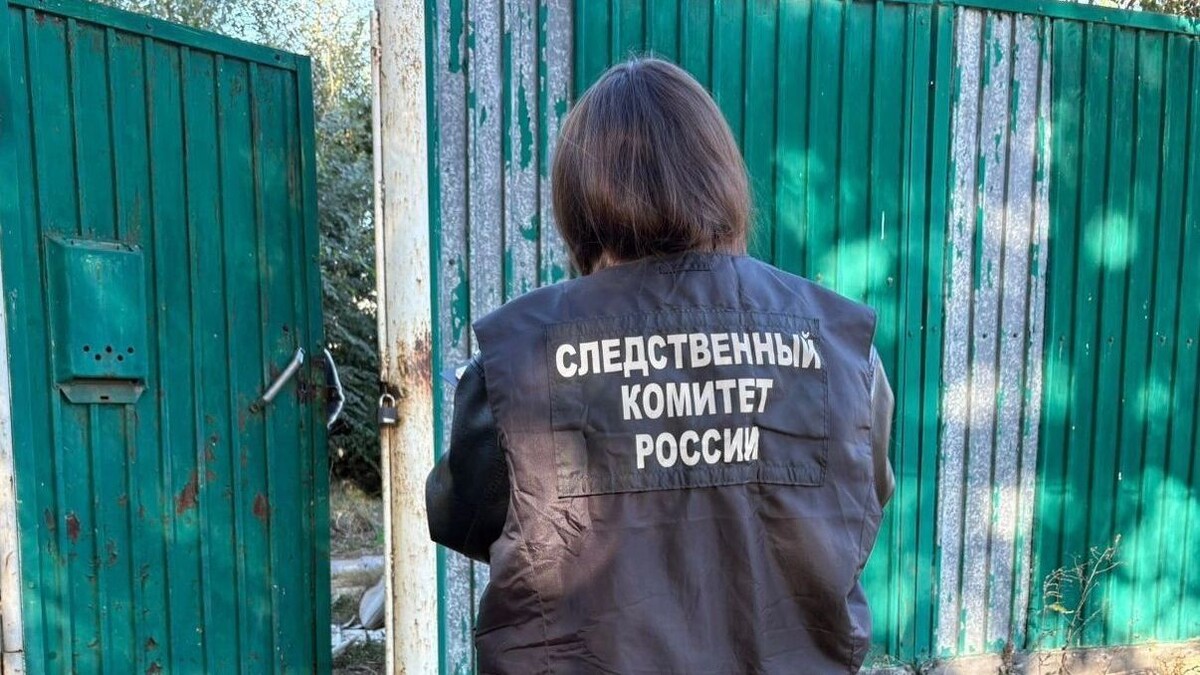     Источник: СУ СК России по Оренбургской области