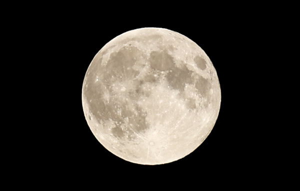 Арина Антонова/ТАСС