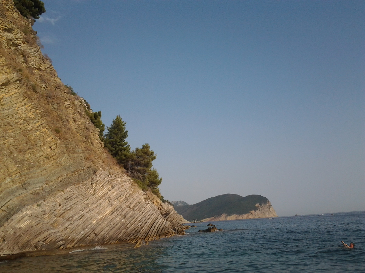 из-за близкого соседства с соснами, в воде плавате много иголок