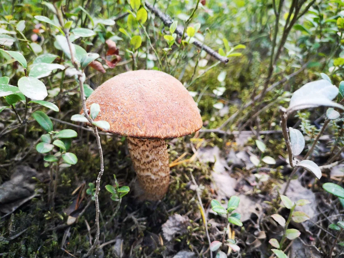 Фото: Алина Малика