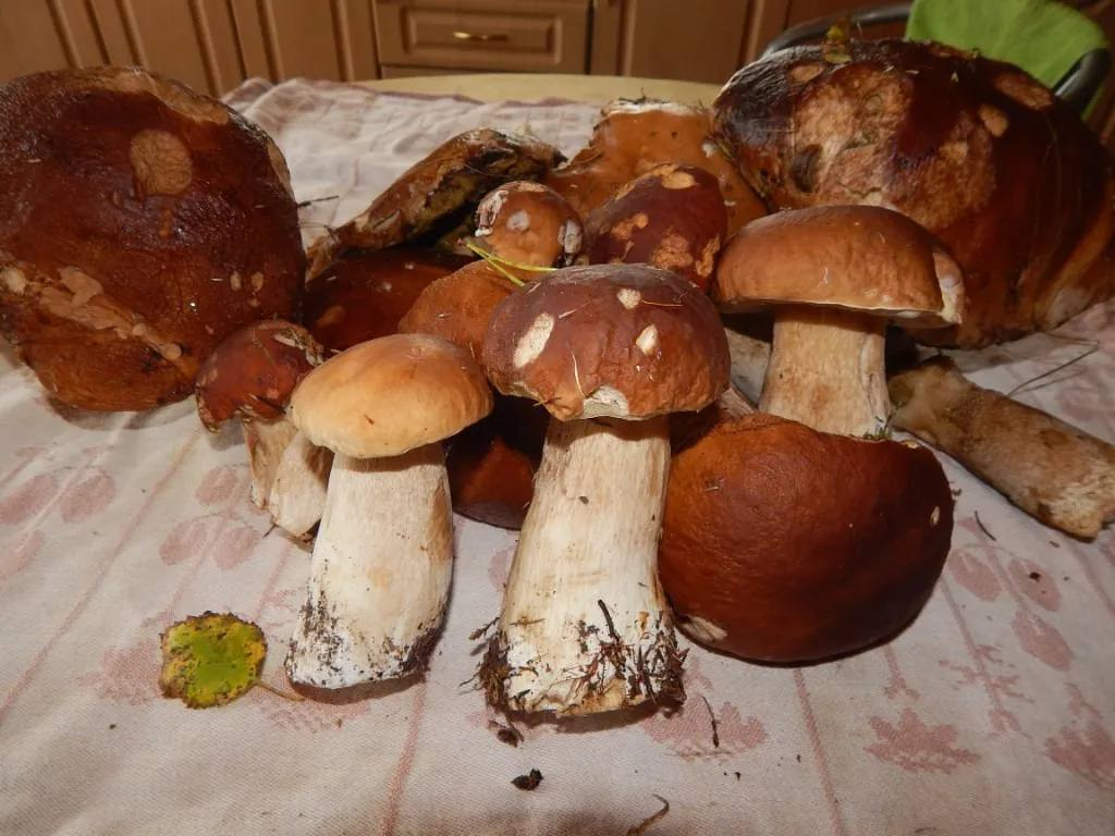 Фото: Надежда Остроконская