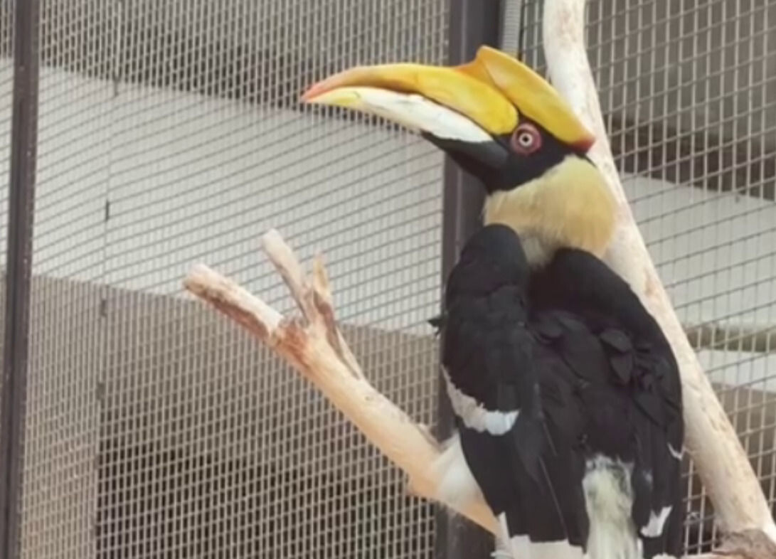 Кадр из видео