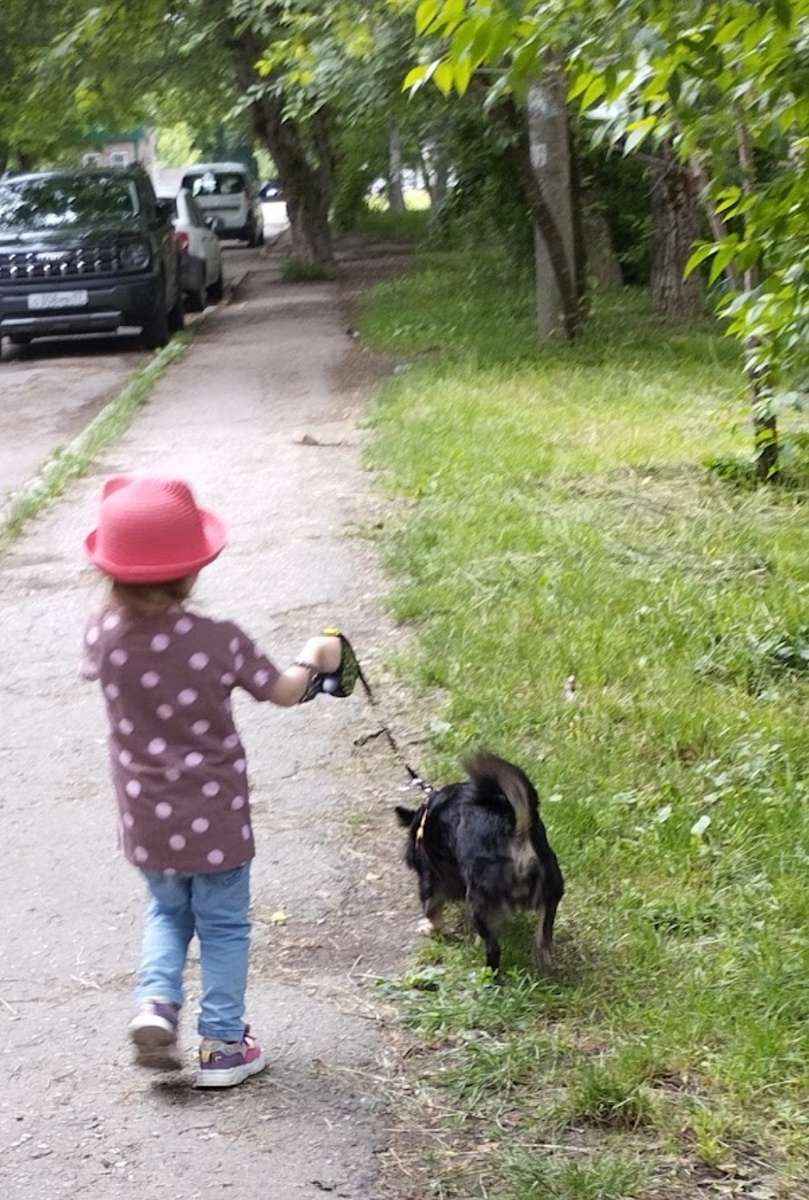 Фото автора