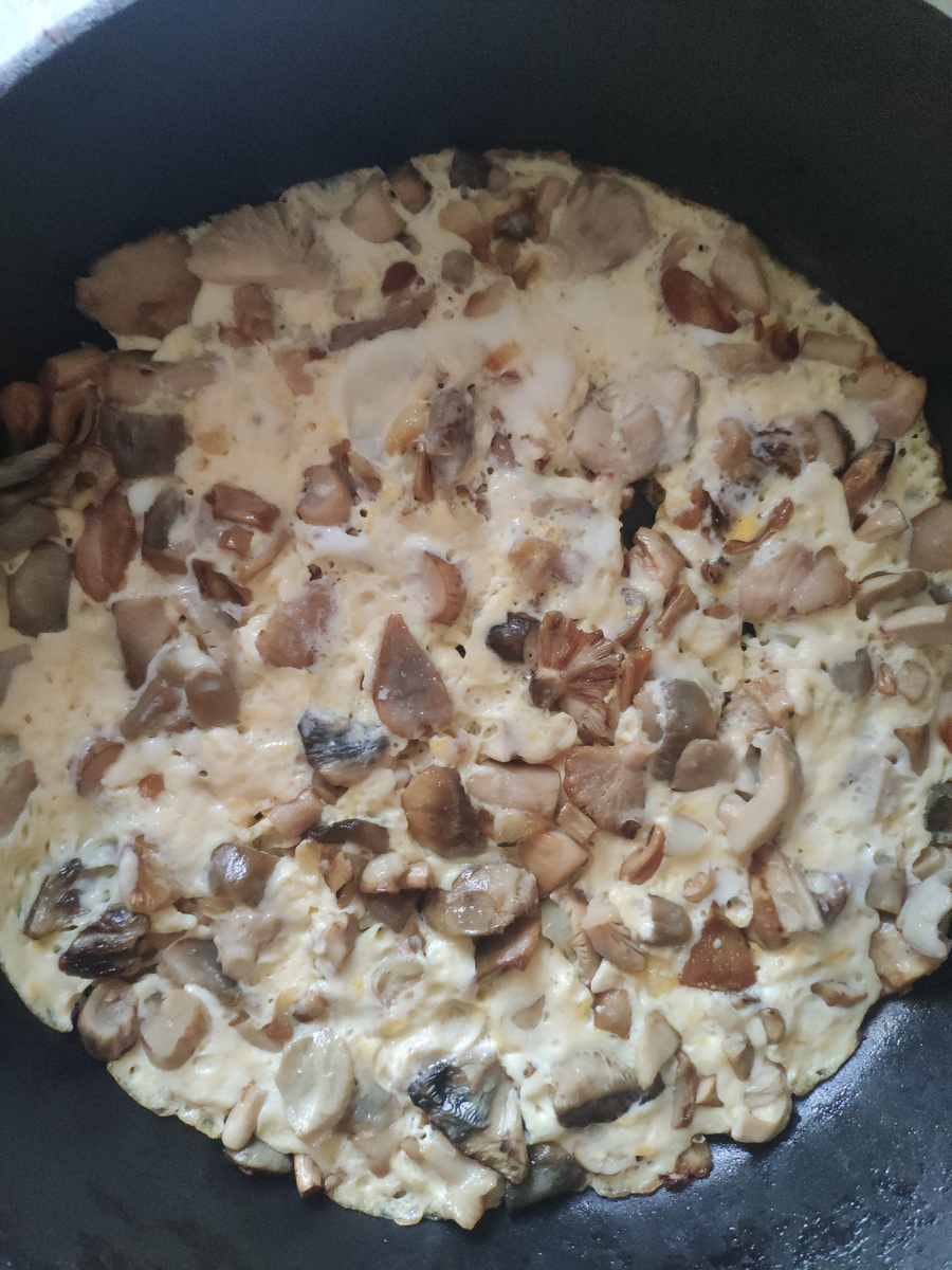 Фото автора. Грибы залитые яйцом.