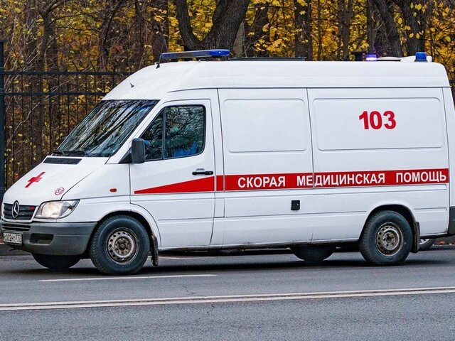    Фото: портал мэра и правительства Москвы/Евгений Самарин