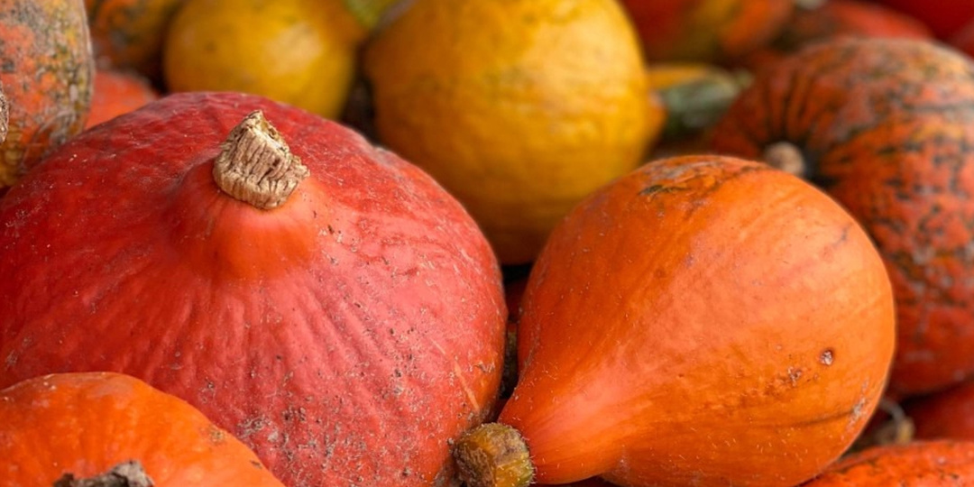 Кто, где и как вырастил мою еду?