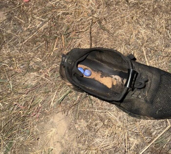 Иллюстрация: ГУ МВД по РО