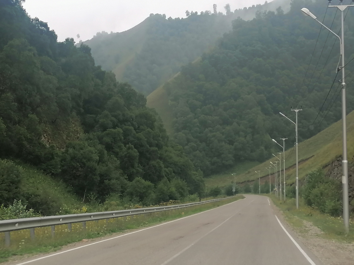 По дороге к урочищу Джилы-Су. 5 августа 2025 года.