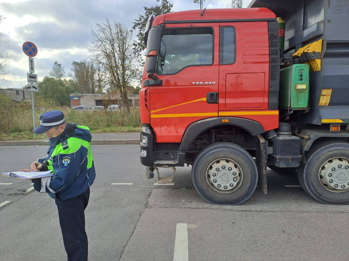 Фото: комитет по транспорту Ленинградской области