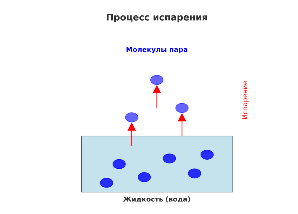 chatgpt.com📷Визуализация процесса испарения