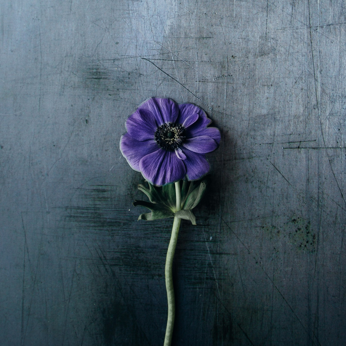 Изображение используется в соответствии с лицензией стогового сайта unsplash.com