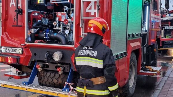    © Sputnik / Александр Жибуль