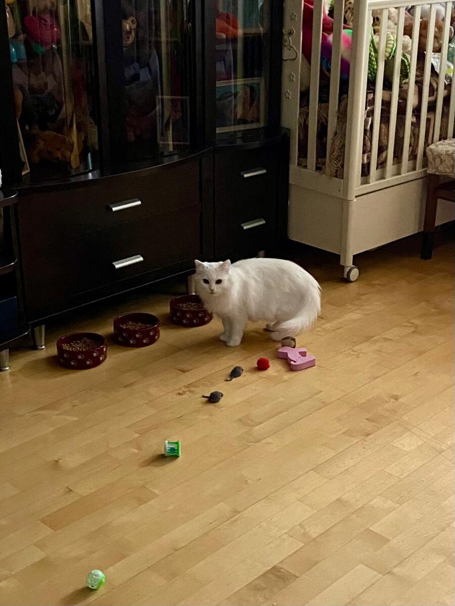 И это тоже всё моё