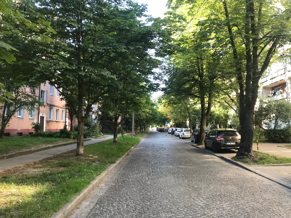 Амалиенау. Каштановая аллея. Фото автора