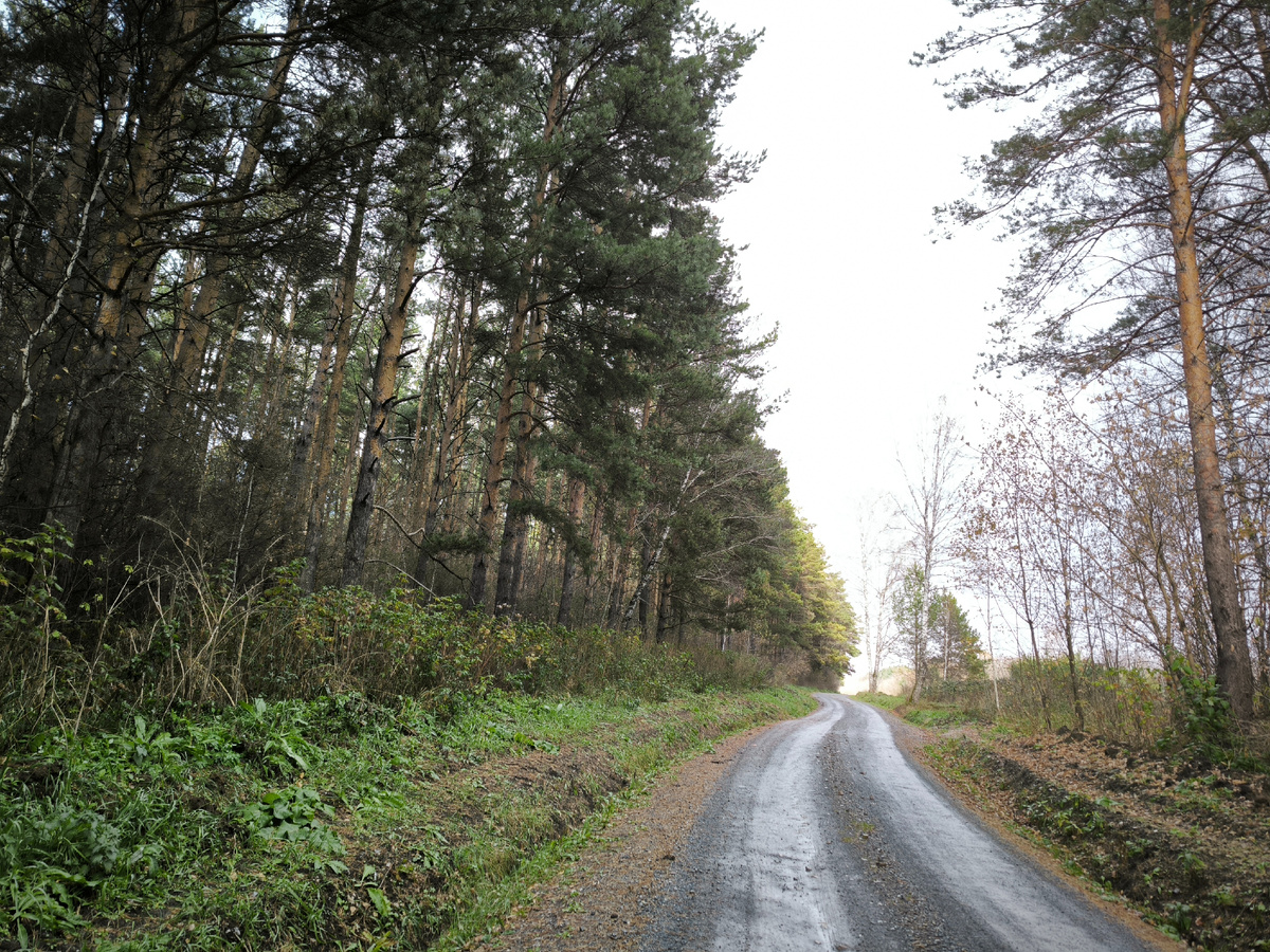 Ползёт вверх, извивается