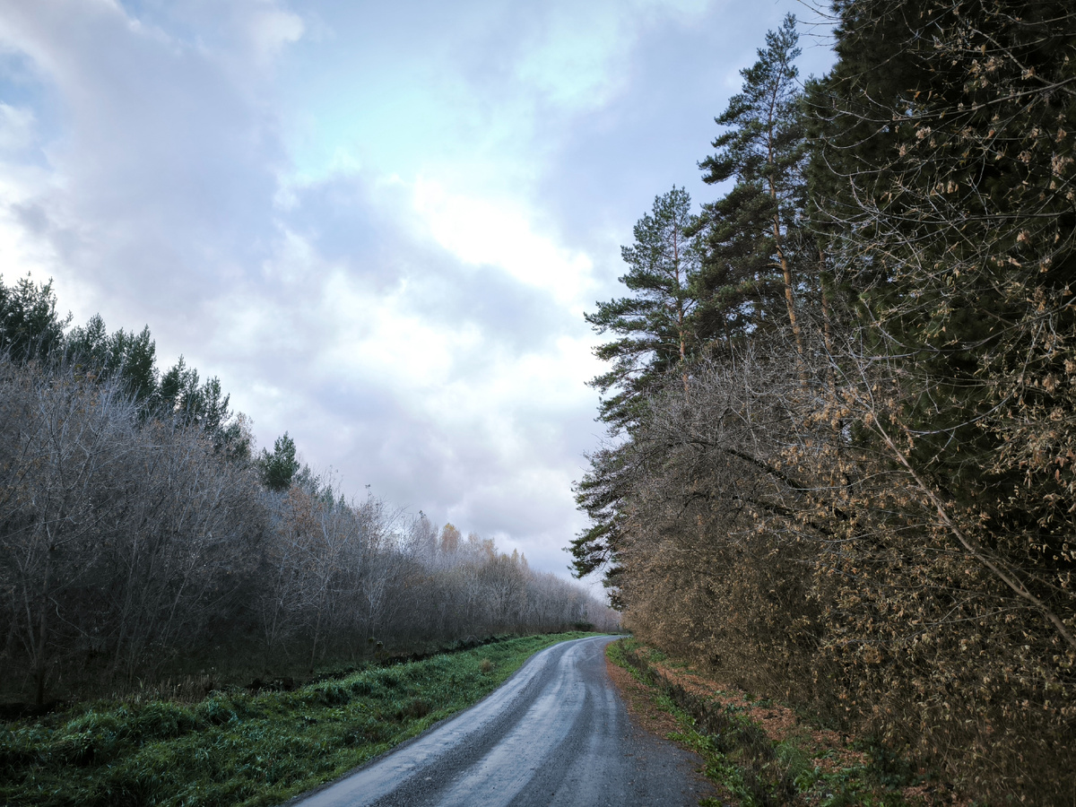 Добрался, вылез, фотографирую