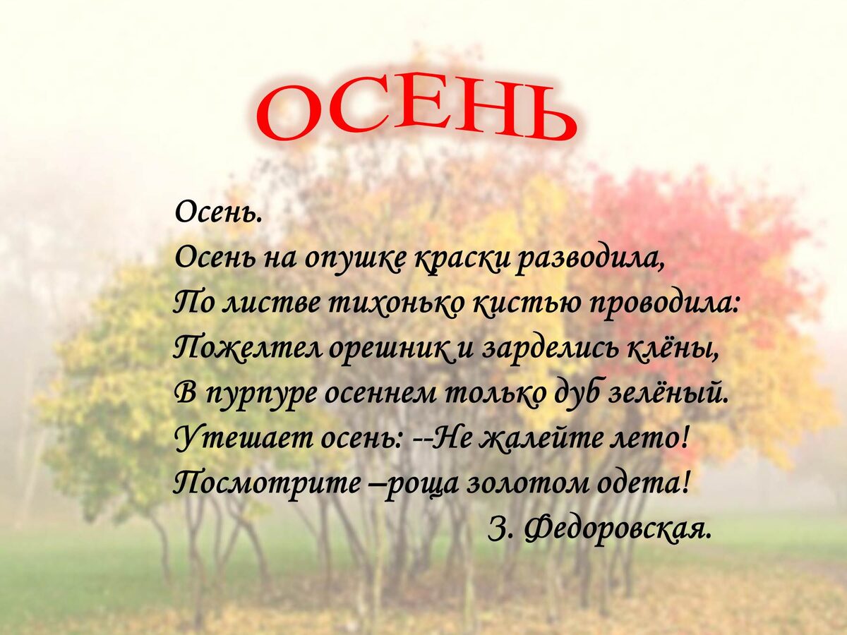 Фото из открытого источника в интернете.
