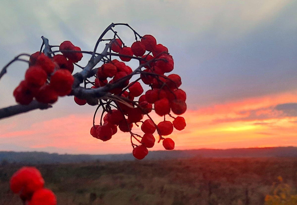 Фото автора.