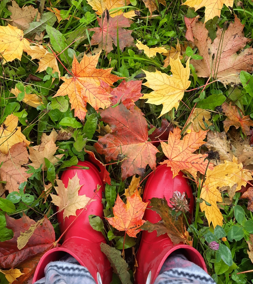 Фото автора.