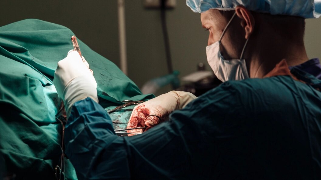    Фото: Niyaz Galiev/Business Online/Globallookpress