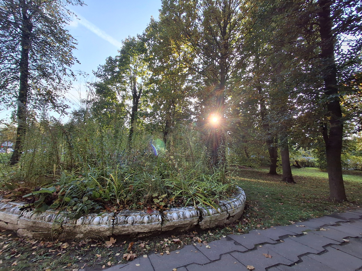 Фото сделано автором