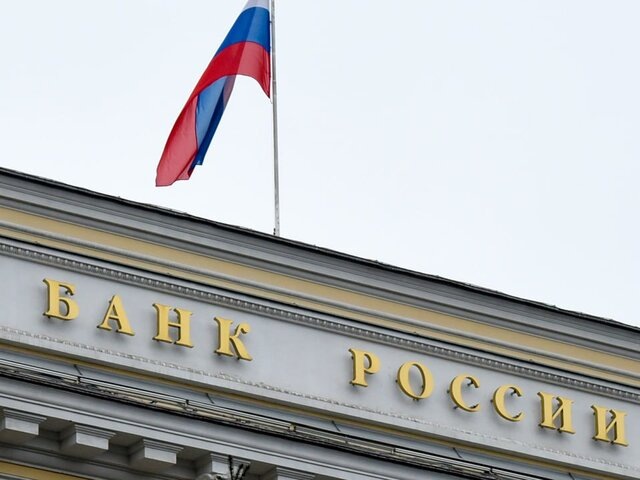    Фото: Москва 24/Никита Симонов