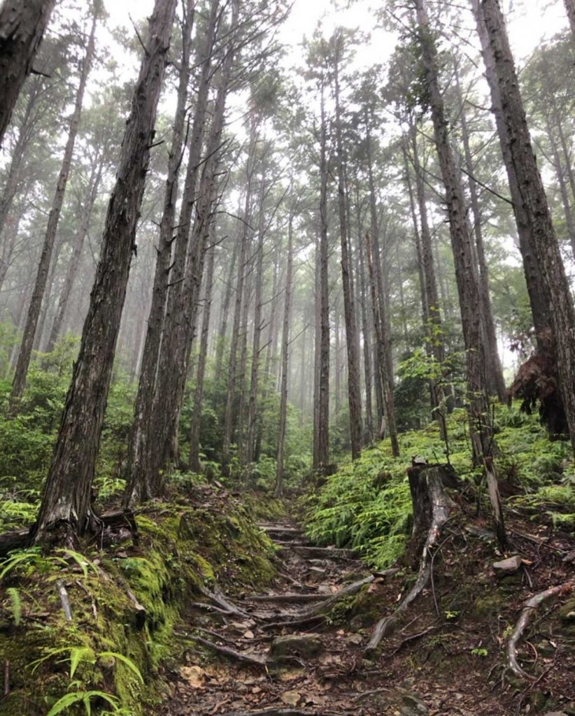 Источник: @yenhui1217