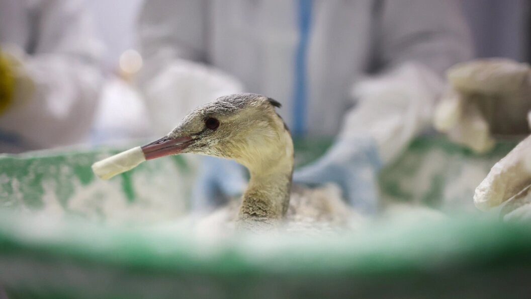    фото: Belkin Alexey/news.ru