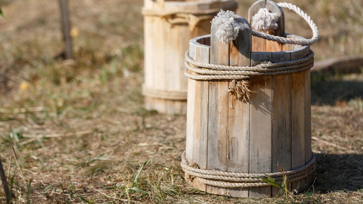    Фото: n.k.junky/Shutterstock/Fotodom