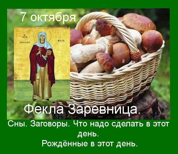 Источник : Яндекс  картинки.