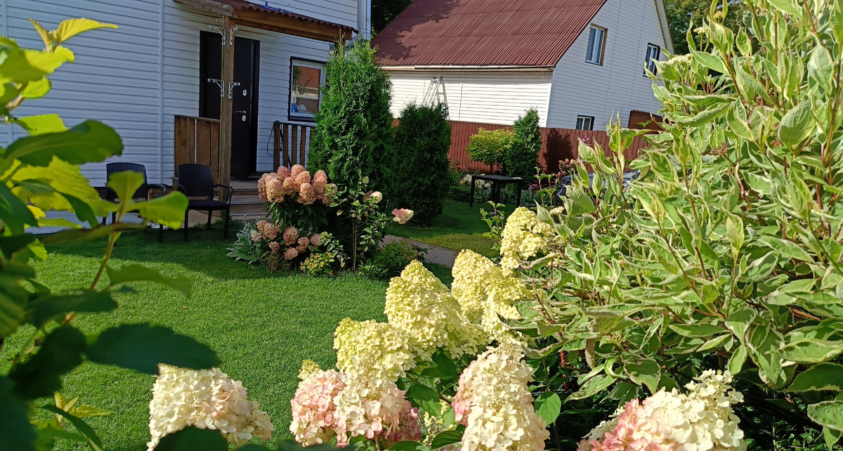 Сад автора, сентябрь