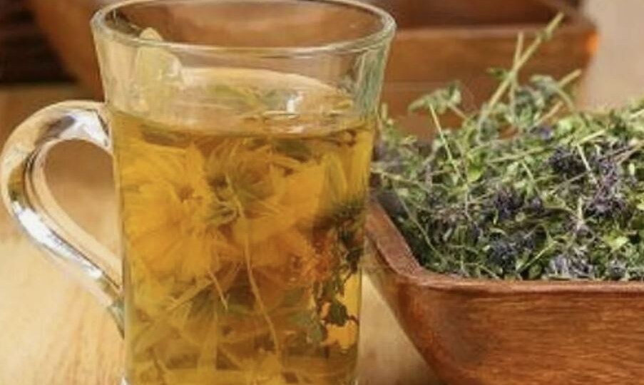 Осенний чай из собранных трав и плодов: рецепты для укрепления иммунитета