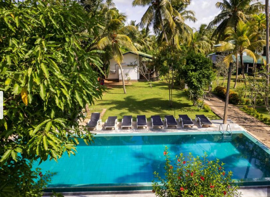 Недорогой отельчик в джунглях