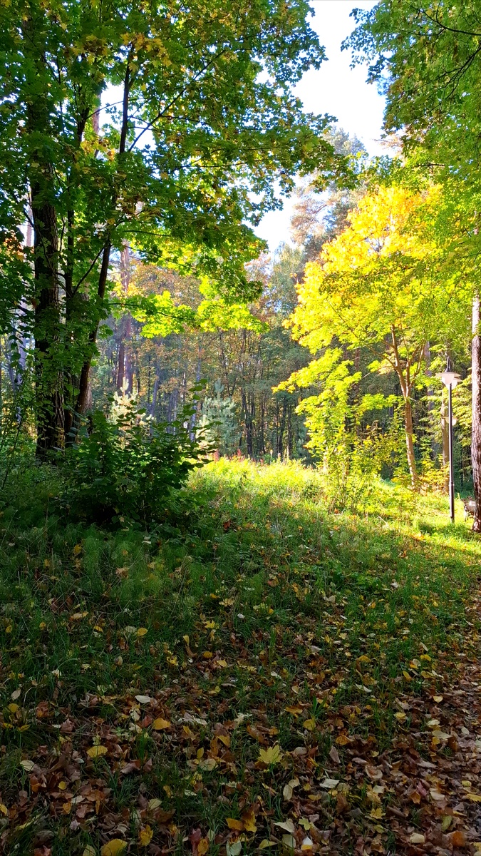 Парк в Гороховце 