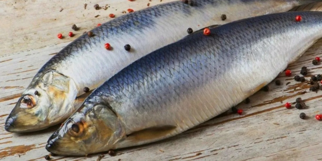 Отказался от других рецептов. Моя любимая малосольная селёдочка.