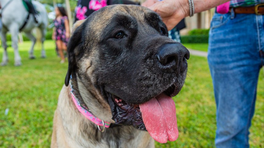    Фото: Zuma/ТАСС
