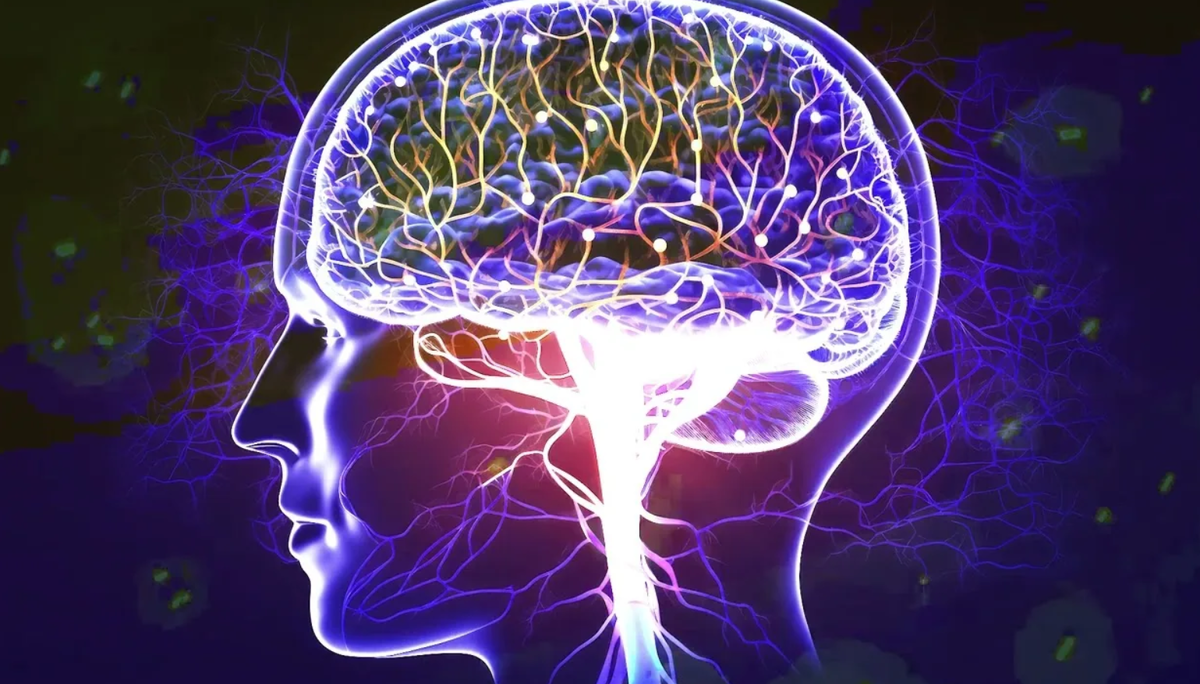 Изображение из открытых источников