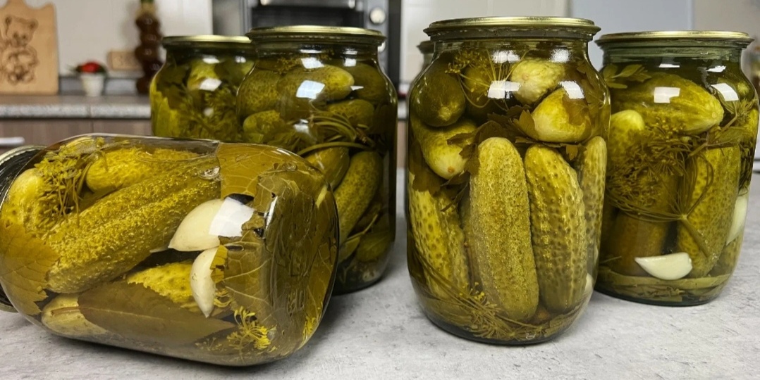 Почему соленые огурцы иногда становятся пустыми внутри