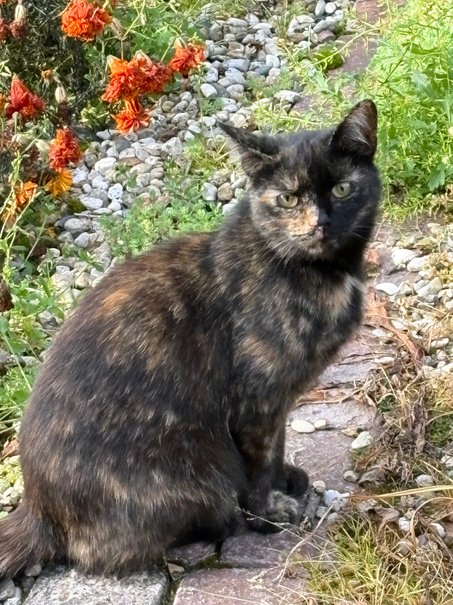 Нкдовольная Майка! Везде фото автора.