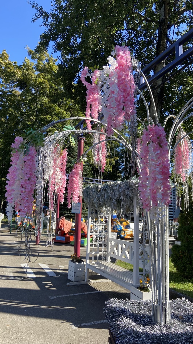 В парке. Калининград