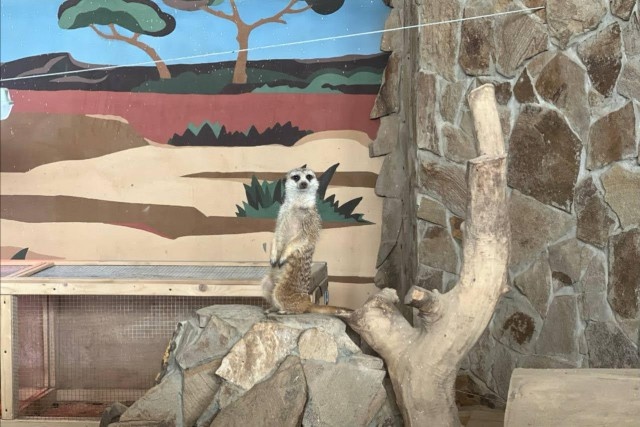   Фото из архива Калининград.Ru